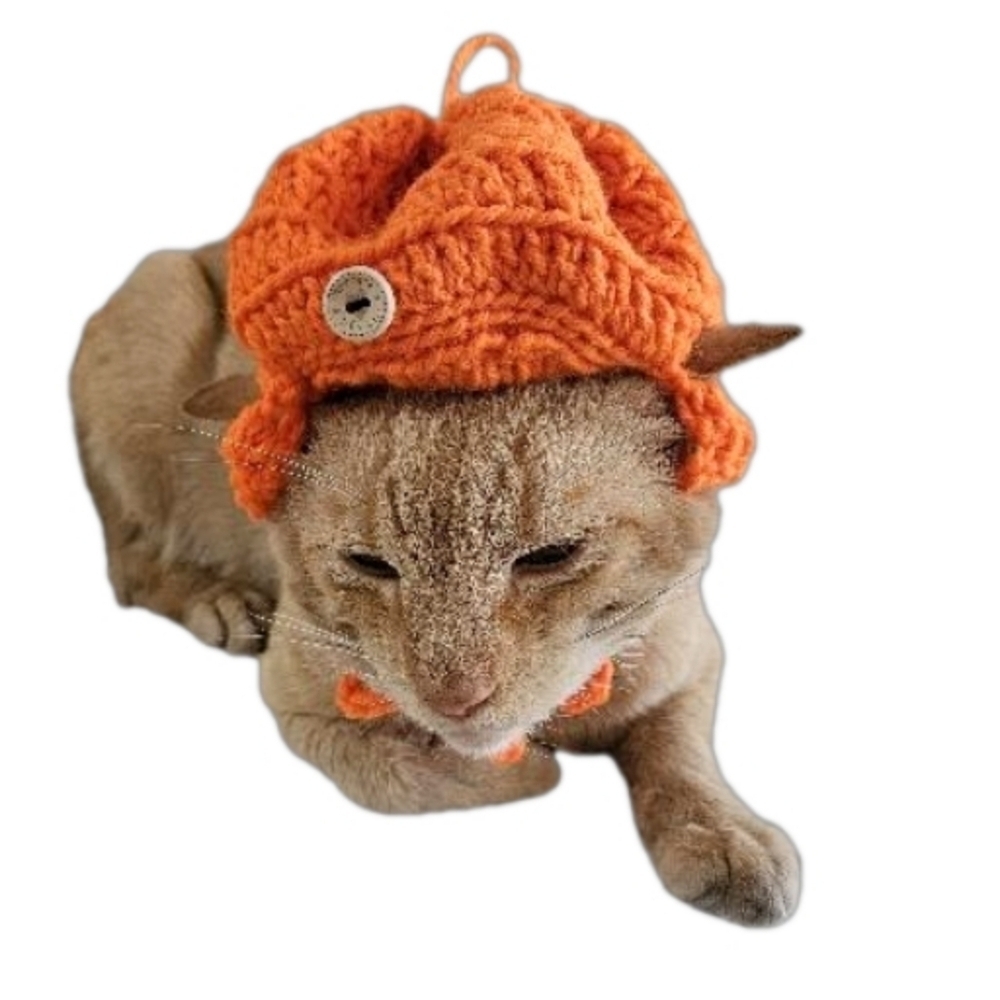 Handmade Halloween Crochet Pumpkin Hat for Cats or Small Dogs – Fall Pet Costume - Picture 4 of 16